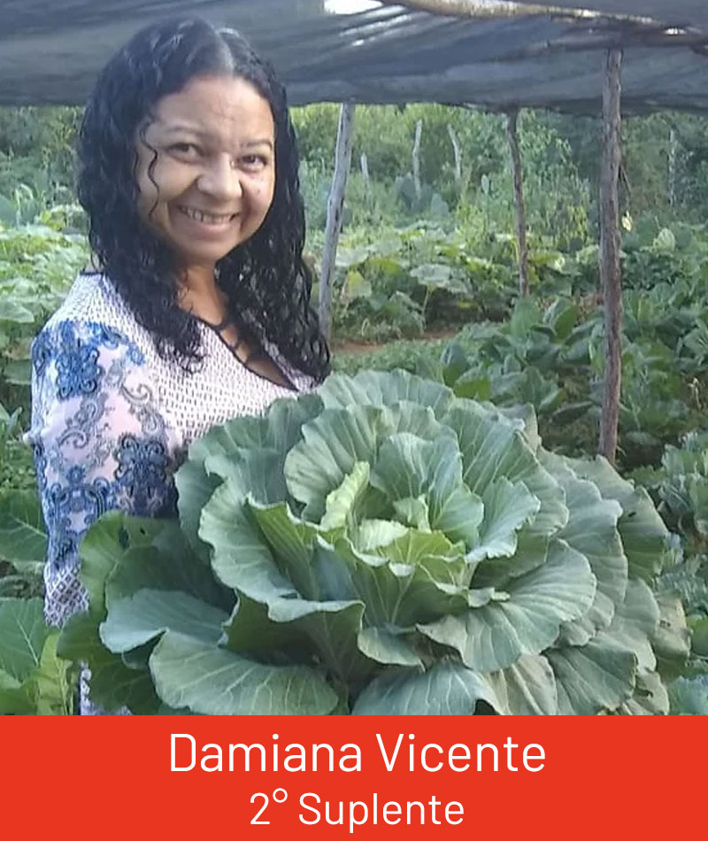 Damiana Vicente - 2ª Suplente do Conselho Fiscal