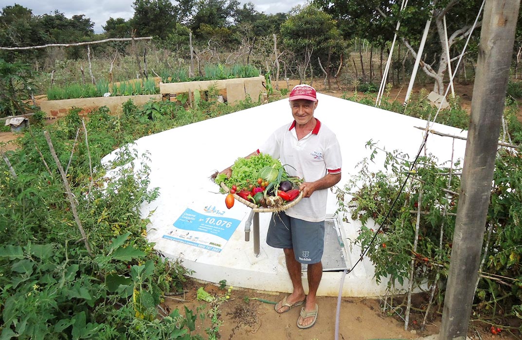 Na serra, plantando tudo dá!