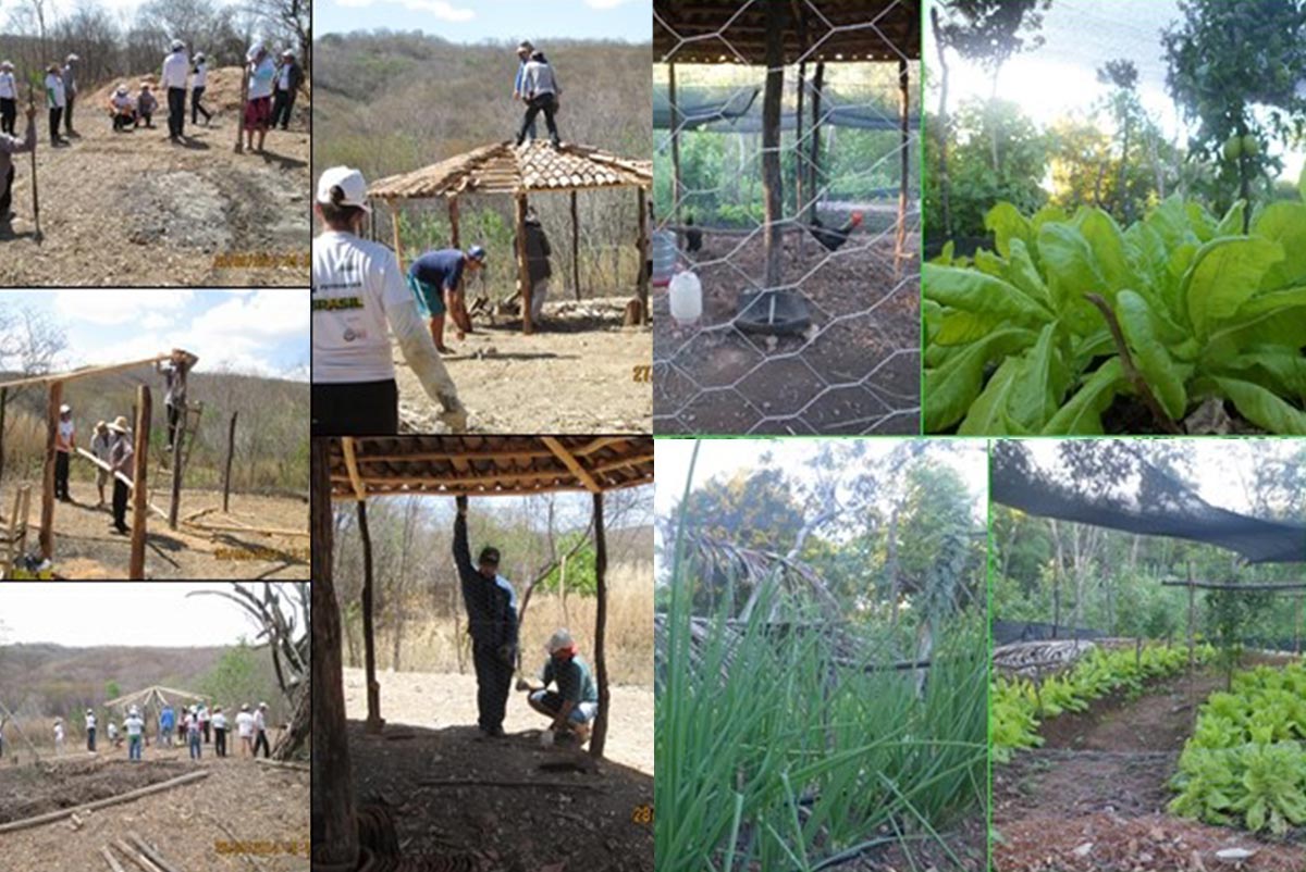 Projeto de incentivo para agricultores da comunidade Catolé