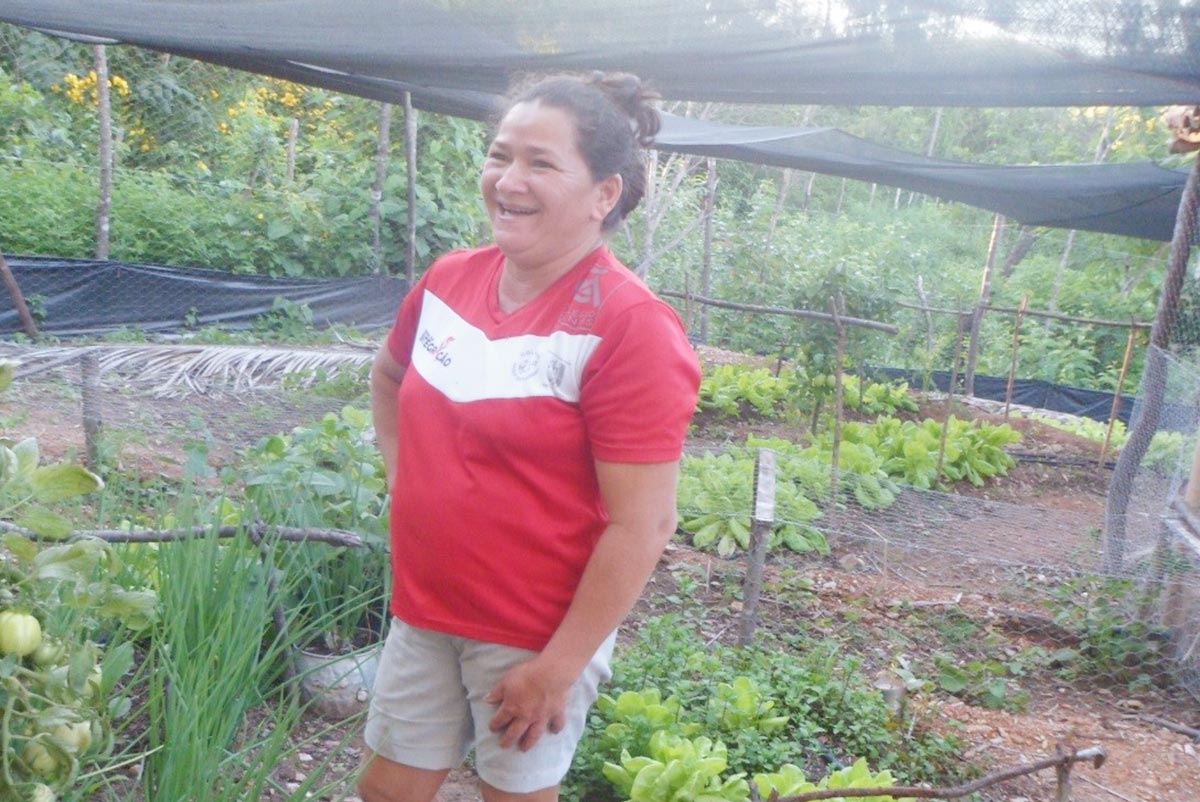 Projeto de incentivo para agricultores da comunidade Catolé