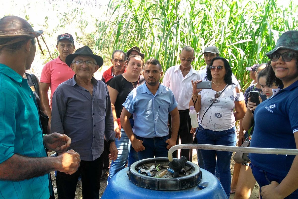 Quintais Produtivos e ações de convivência com o semiárido