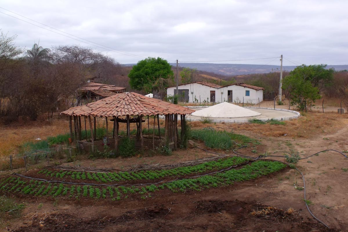 Projeto irá trabalhar agroecologia através da implementação de sistema PAIS